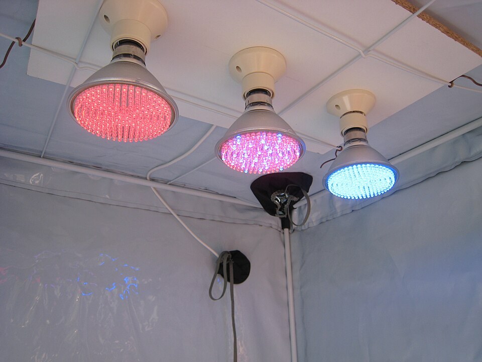 LED grow light bulbs