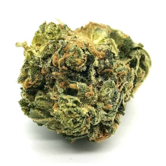 shishkaberry by hexo strain review (picture of cannabis)