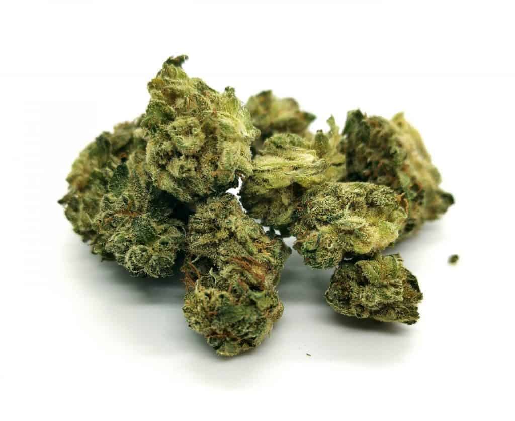 Rio Bravo Strain Review (Picture of cannabis)