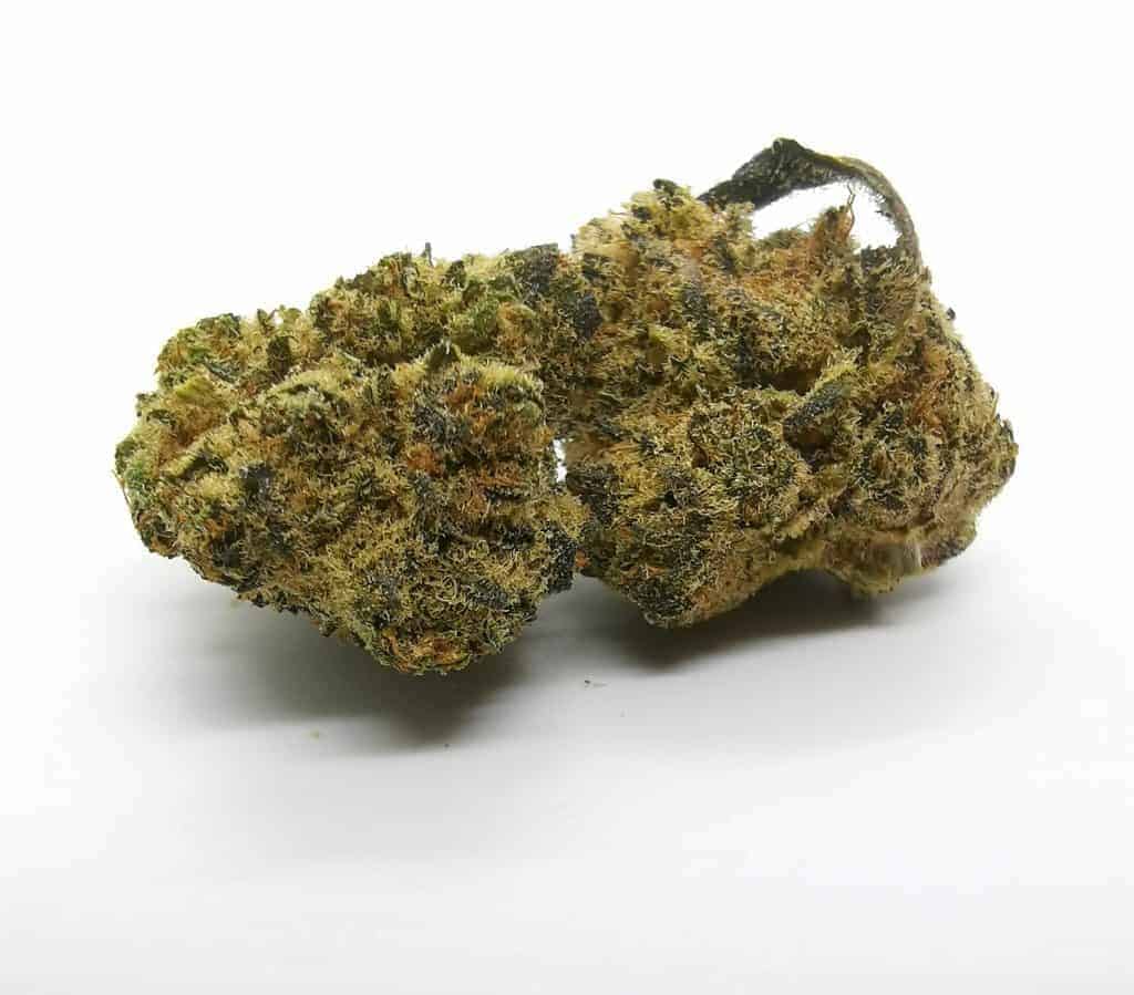 Dancehall strain review, picture of dancehall strain made by Spinach.