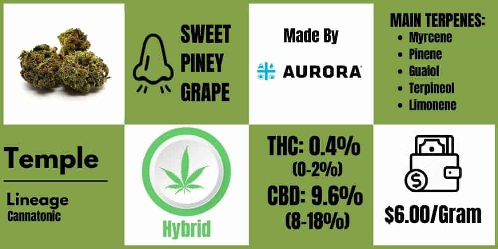 Temple by Aurora Cannabis Review info block