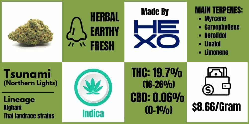 Tsunami Strain Review Info Block