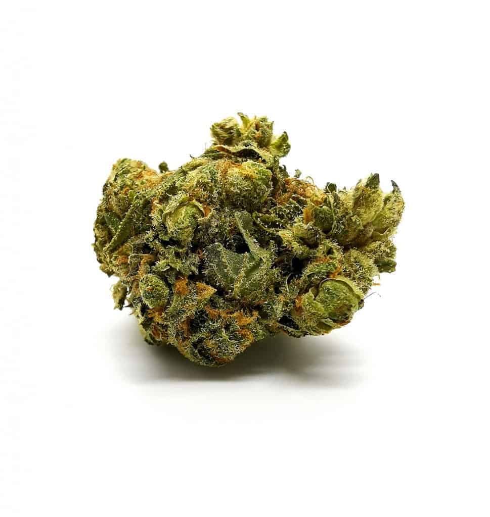 Durga Mata 2 strain review, picture of cannabis