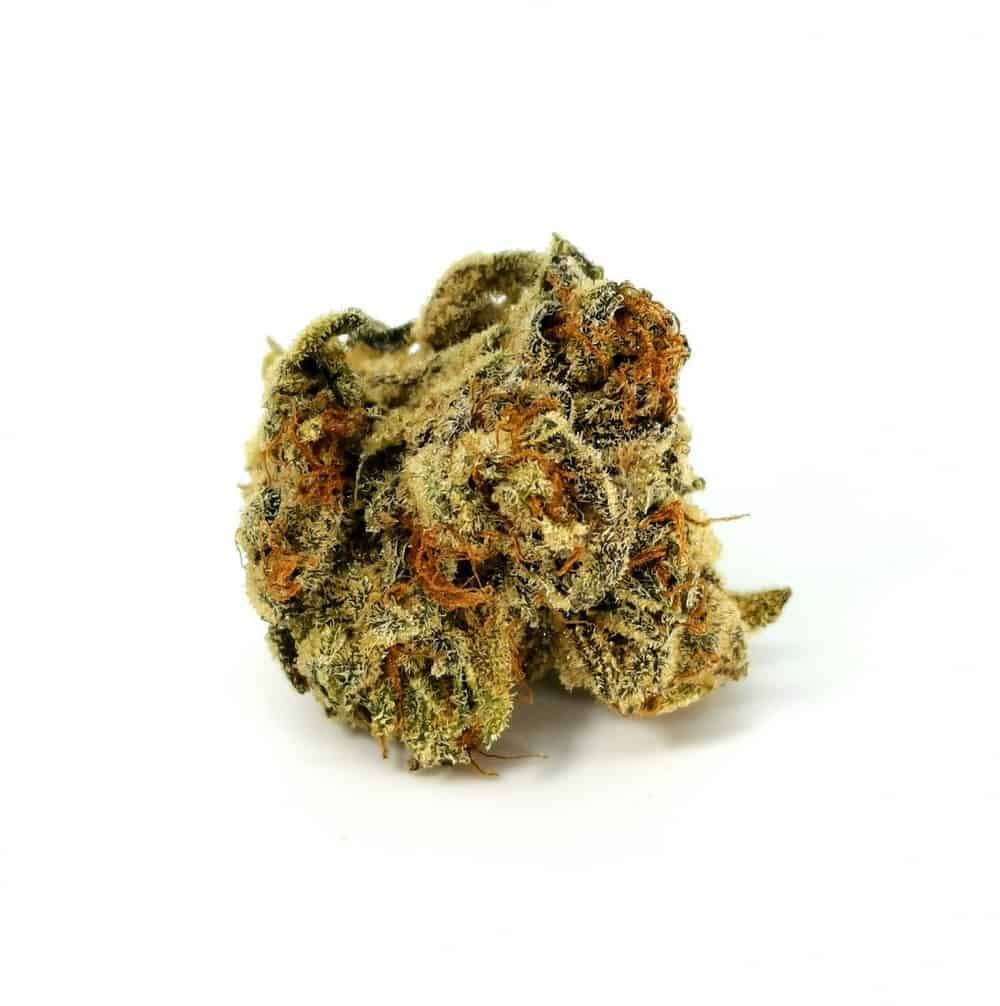 quadra strain review, picture of cannabis flower