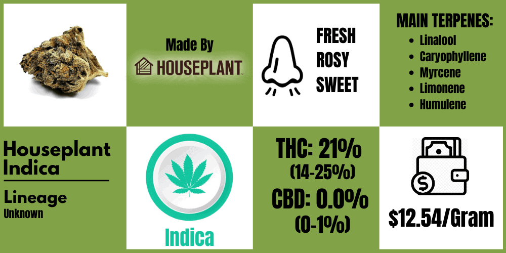 houseplant strain review info block