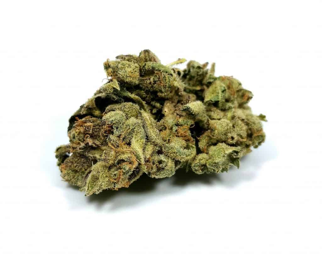 houseplant strain review