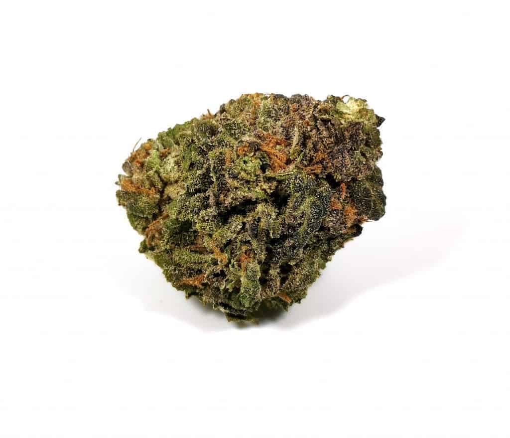 subway scientist strain review picture of cannabis