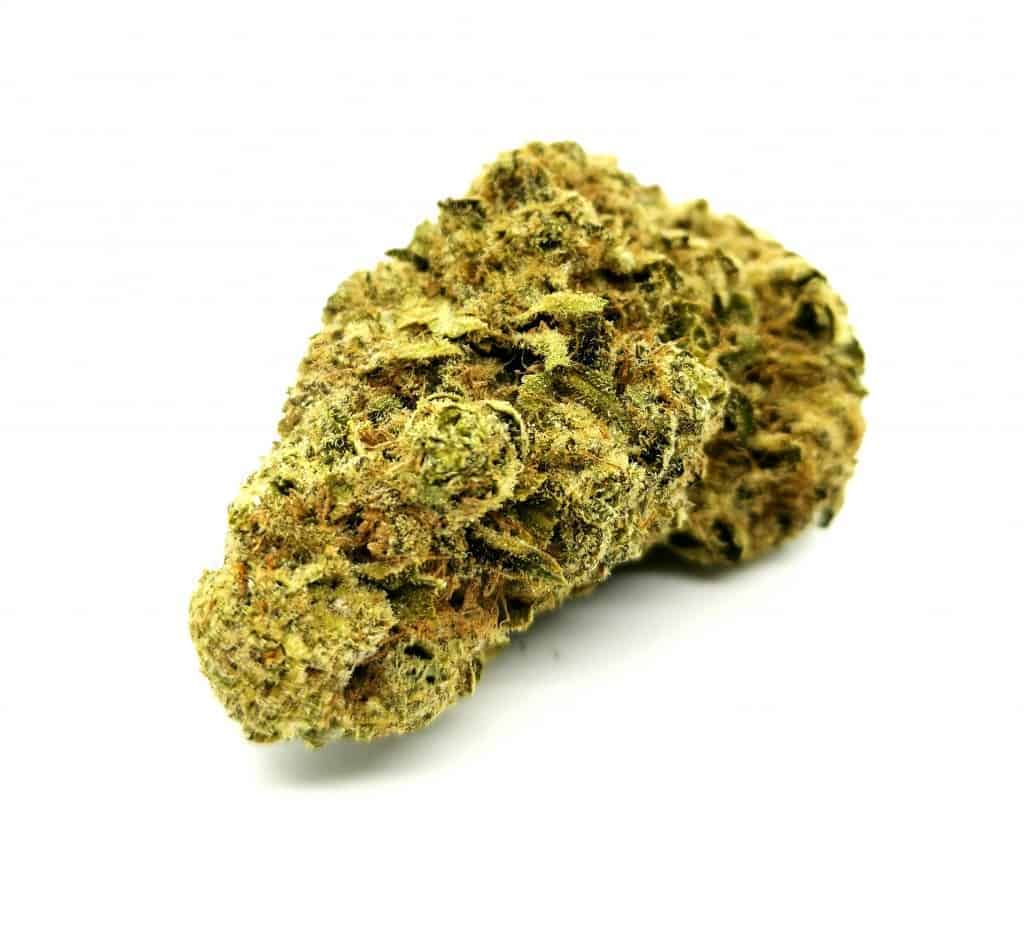 revive reserve strain review picture of cannabis flower cannabis sensei