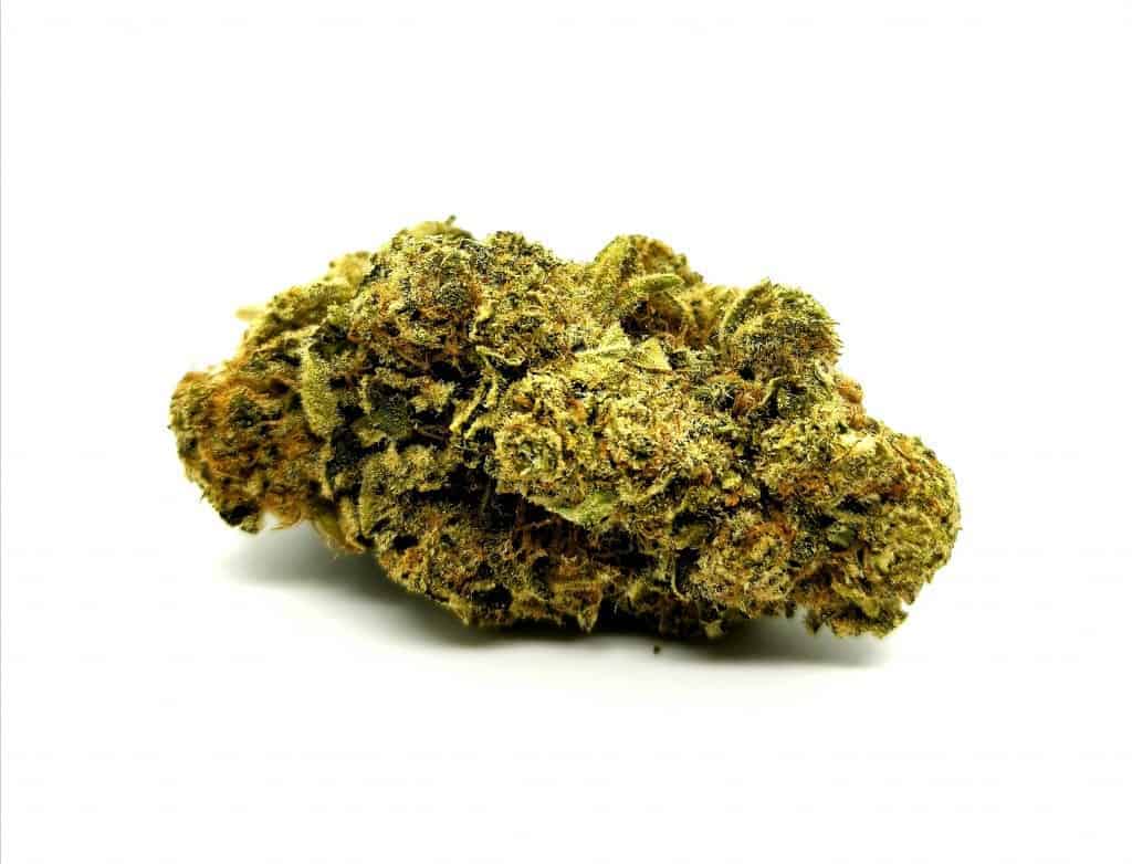 revive reserve strain review picture of cannabis flower cannabis sensei