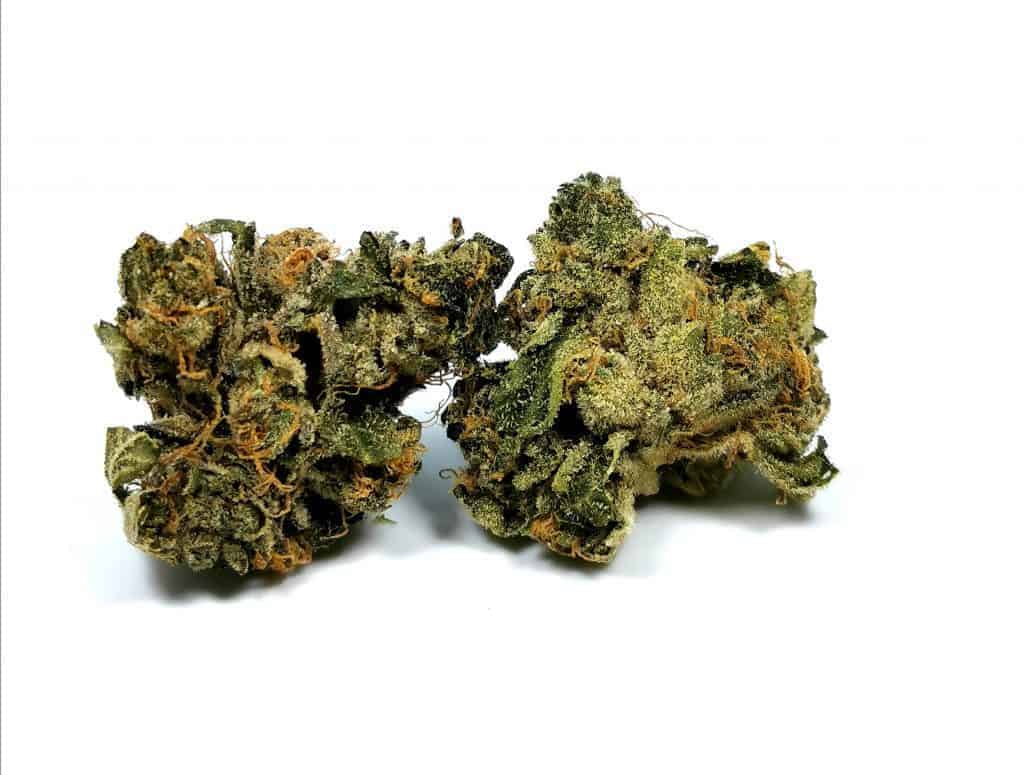 bubba strain review picture of cannabis