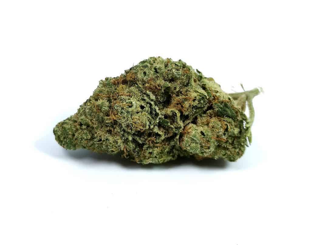 raider kush strain review