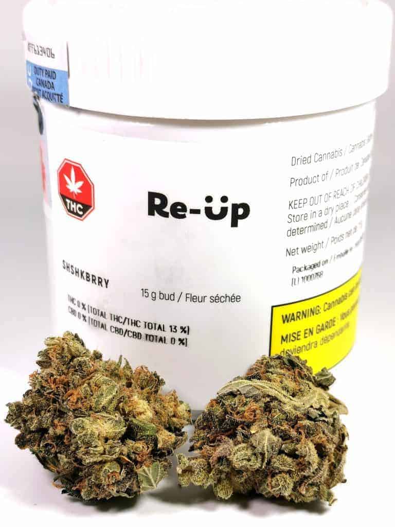 shishkaberry strain review, made by re-up cannabis. picture of flower with packaging.
