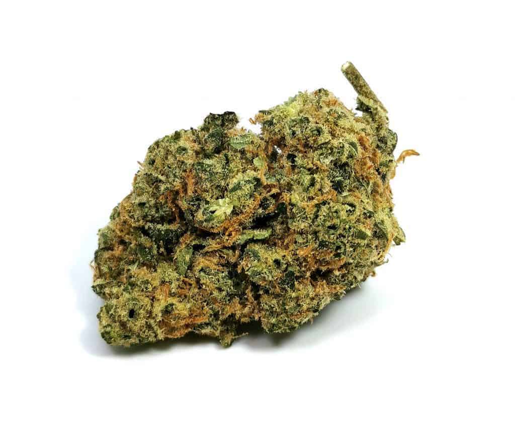 diesel strain review picture of cannabis