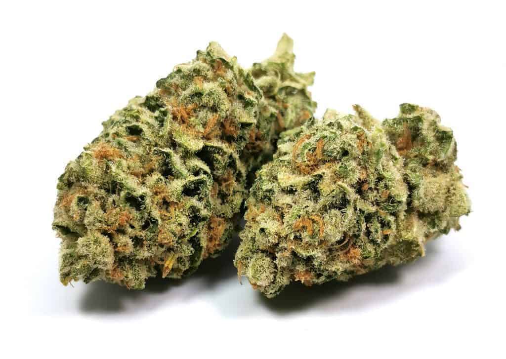Lemon Garlic OG strain review, main picture