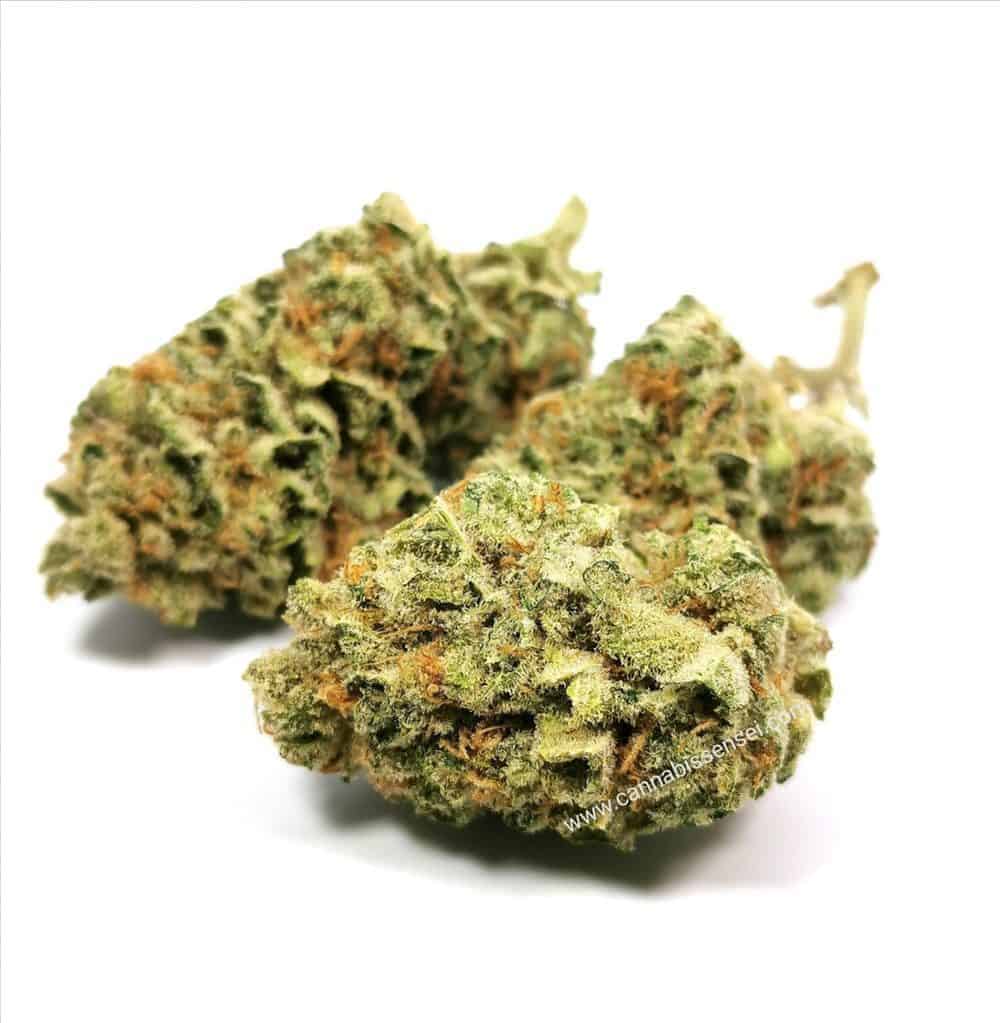 lemon garlic og strain review, picture of cannabis flower