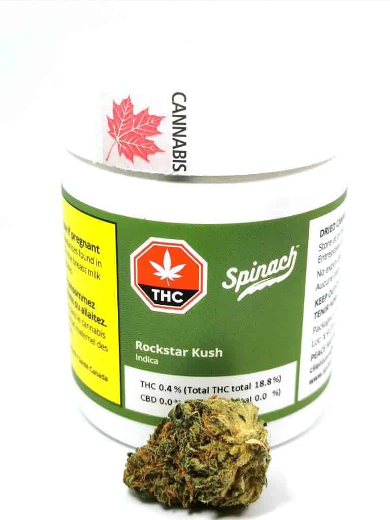 rockstar kush strain review, picture of cannabis and container