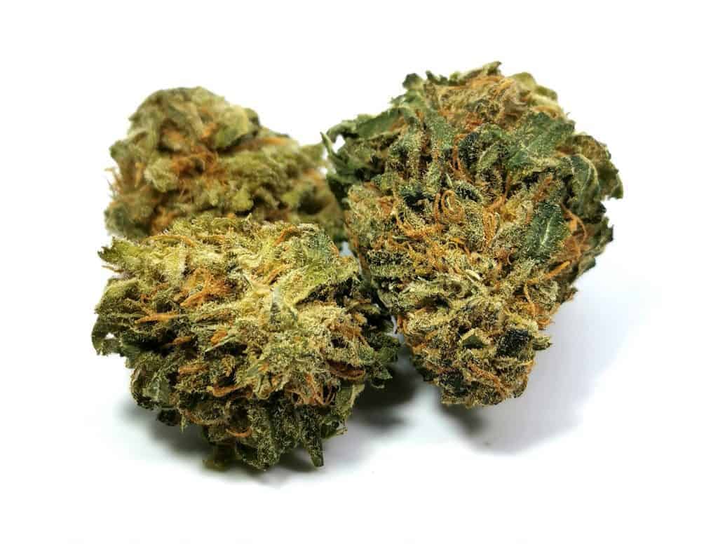 rockstar kush strain review main pic