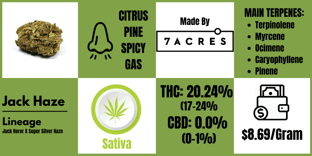 jack haze strain review info block