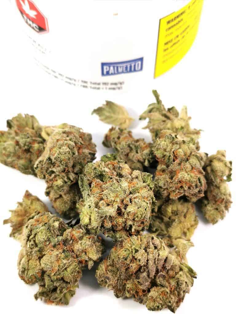 bandeau (headband) strain review picture of cannabis
