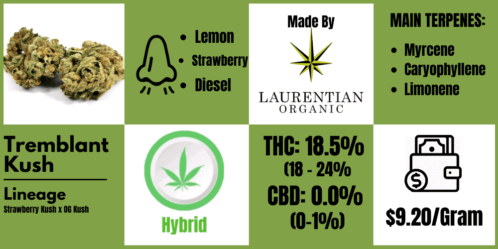 tremblant kush strain review info block