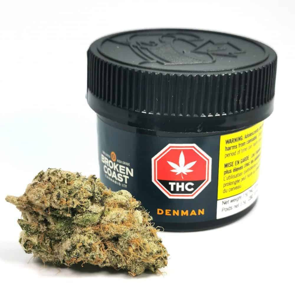 denman strain review picture of cannabis and container