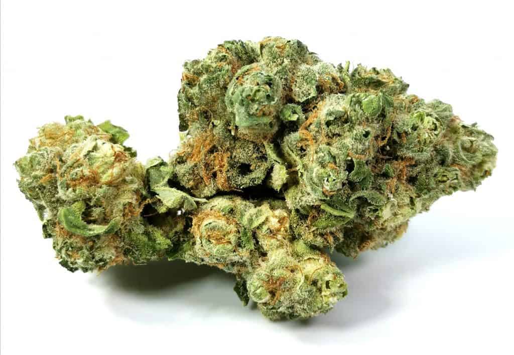 gg4 strain review