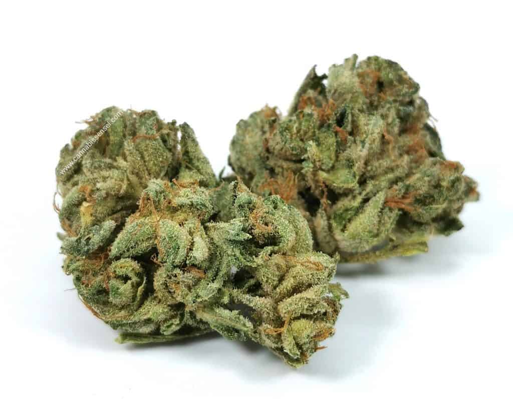 BC Sweet Skunk (Pure Laine Cannabis) review, picture of cannabis