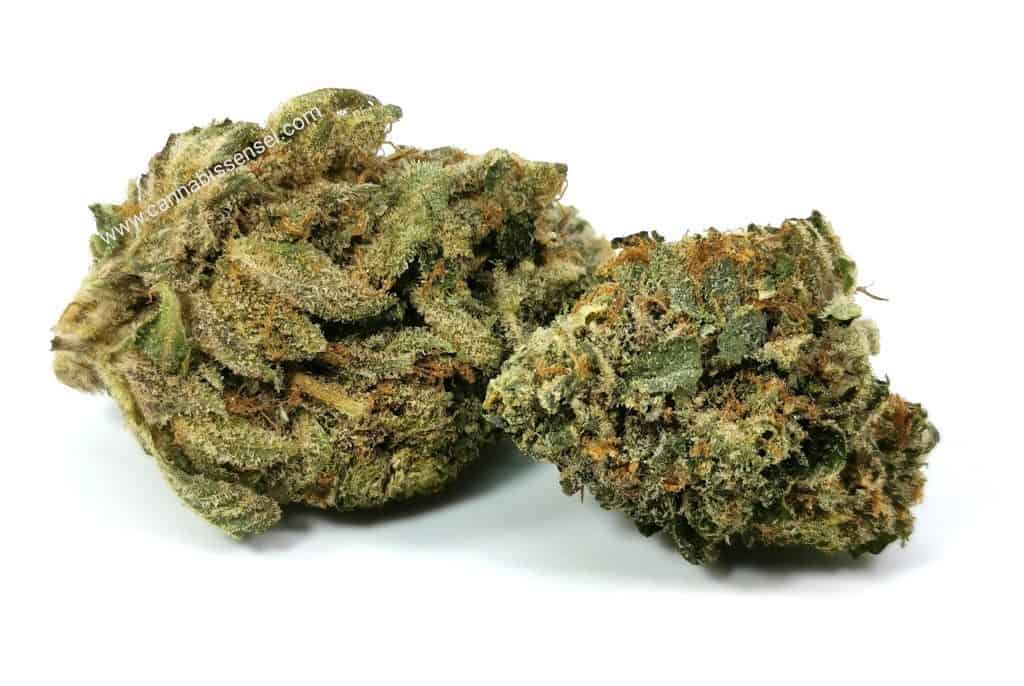 Island Pink Head review dunn cannabis