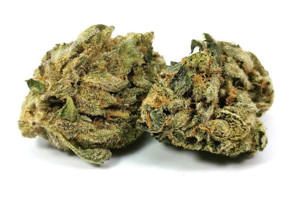 Island Pink Head review dunn cannabis 