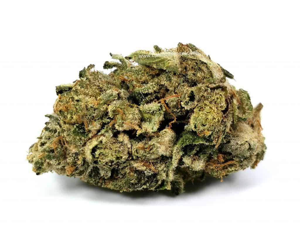 island pink head by dunn cannabis