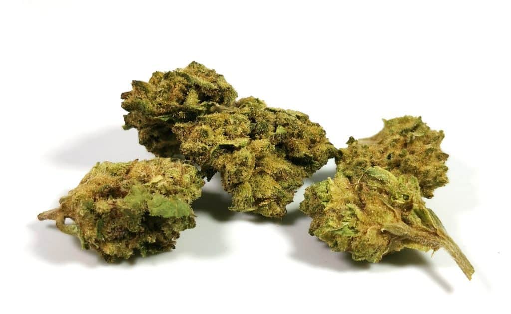 Mendo Breath (Kizos) strain review picture of cannabis