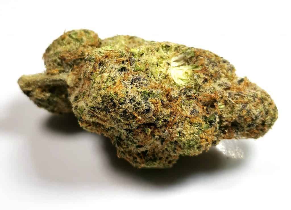 Cherry Punch by Organnicraft