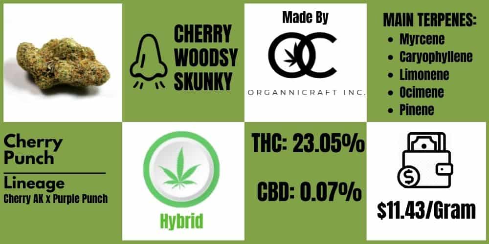 Cherry Punch Strain review infoblock