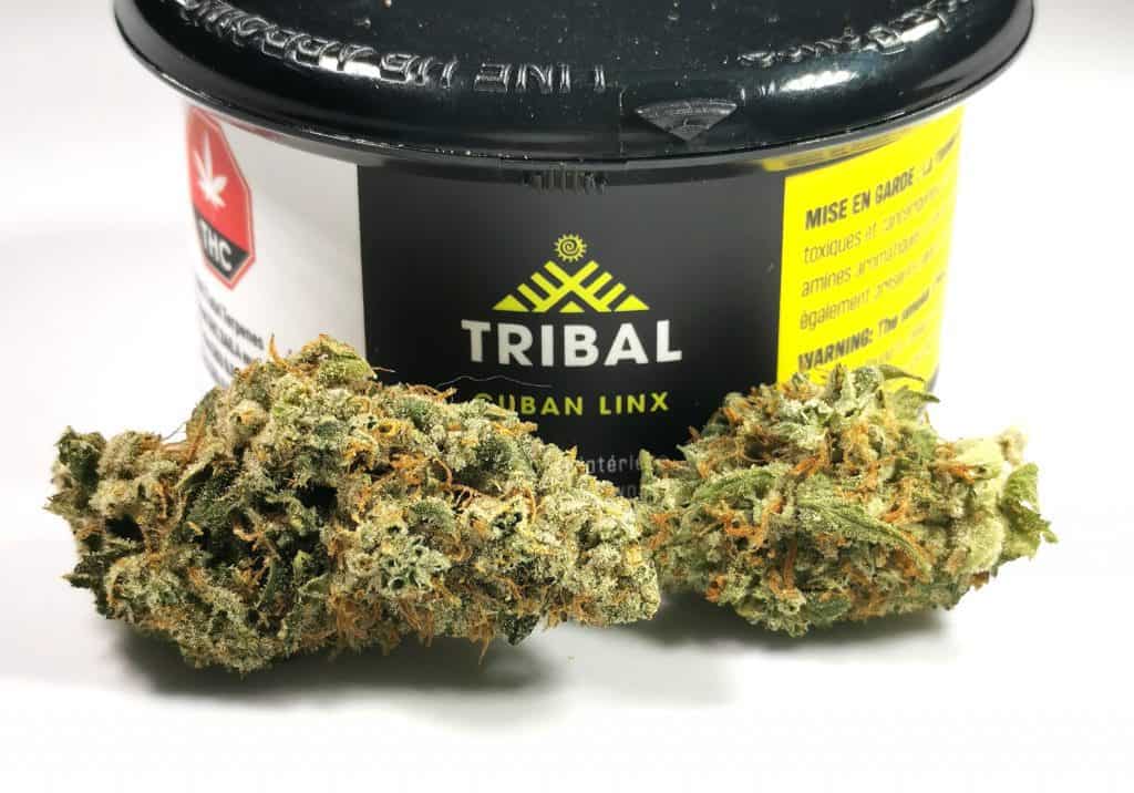 cuban linx strain review picture of cannabis and packaging