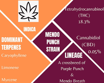 mendo punch info