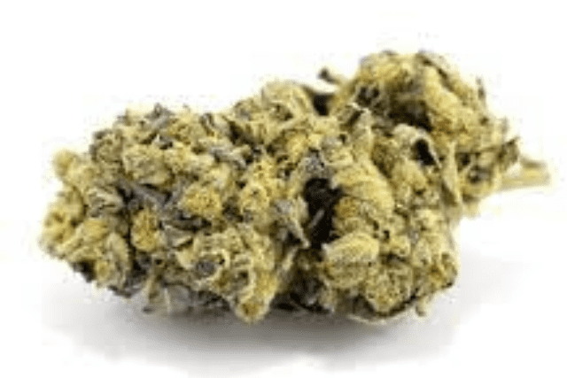 tiger cake strain nug on white background