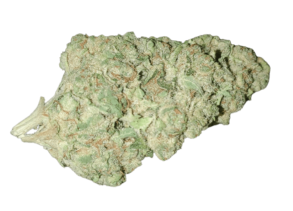 jet fuel gelato bud