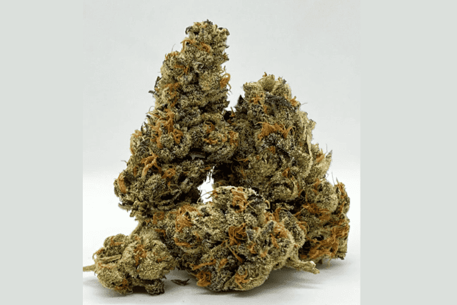 guava bars strain - featured image