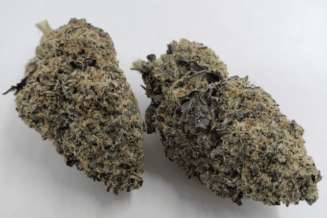 purple pancakes strain
