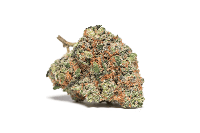 bruce banner