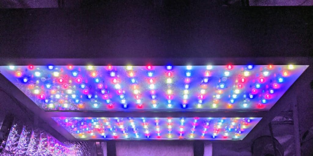 colorful array of grow lights