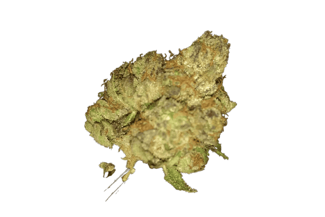 Laughing Gas - strain