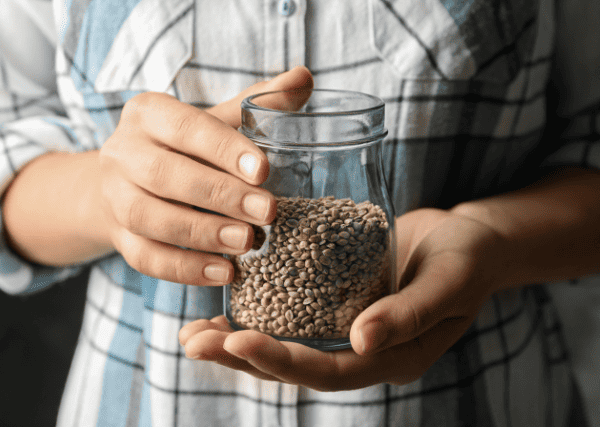 a person holding a jar of cannabis seeds