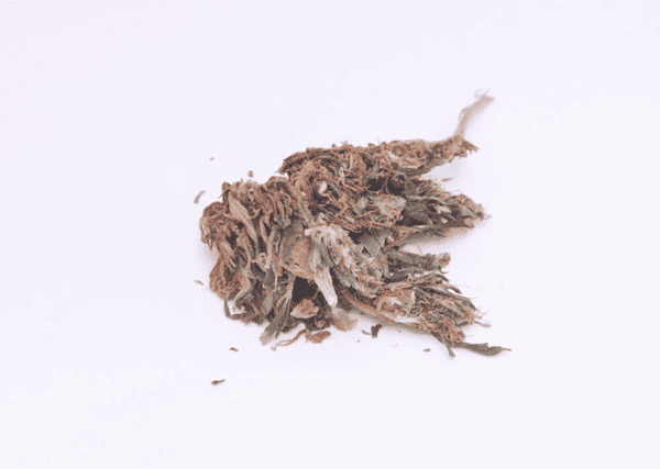 reggie weed - featured image