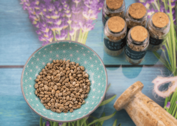 storing cannabis seeds