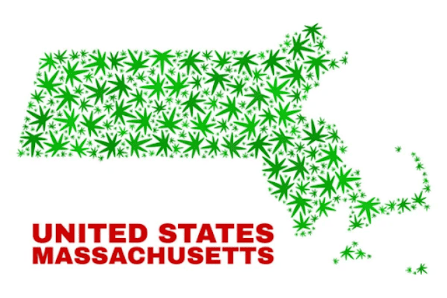 MA Marijuana map