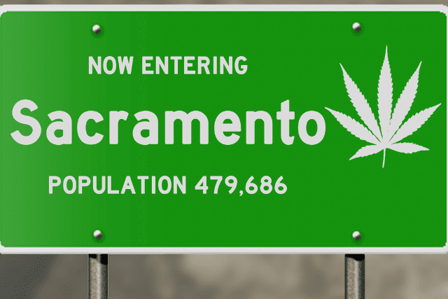 california seeds - featured image