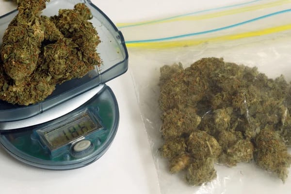 bag of weed next to a handful of weed on a digital scale