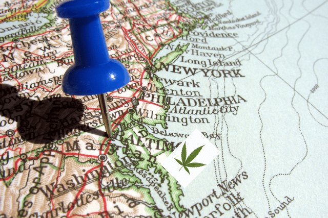 marijuana in maryland - featured image