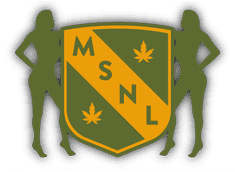 2. MSNL